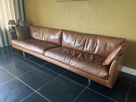 Image 1 of Montis Axel sofa