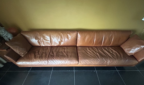 Image 1 of Montis Axel sofa