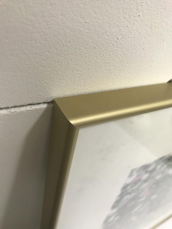 Image 1 of Rododendron '08