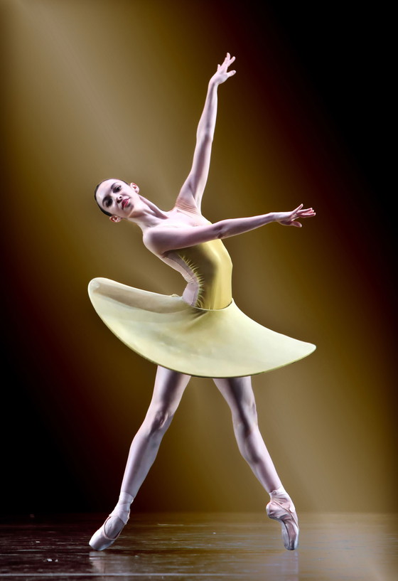 Image 1 of Ballet dancer painting decorative