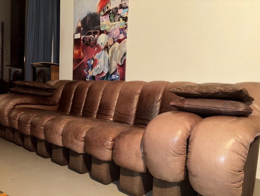 De Sede Snake Sofa