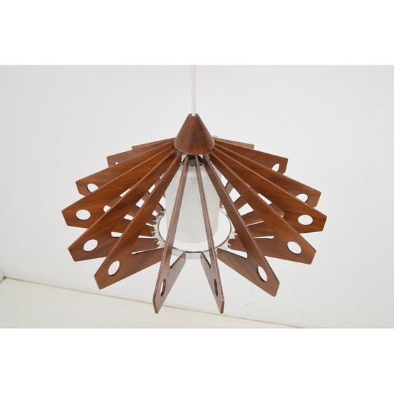 Image 1 of Vintage pendant lamp in wood and glass by Drevo Humpolec, Czechoslovakia 1970
