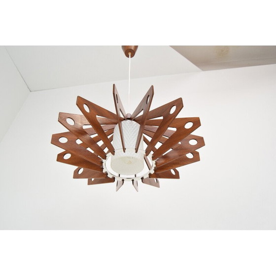 Image 1 of Vintage pendant lamp in wood and glass by Drevo Humpolec, Czechoslovakia 1970