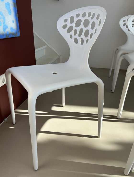 Image 1 of Supernatural Chair From Morosso 5x