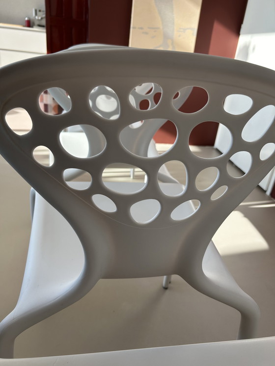 Image 1 of Supernatural Chair From Morosso 5x
