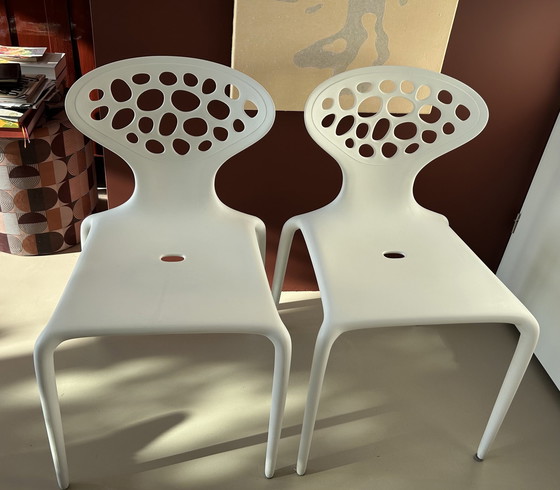 Image 1 of Supernatural Chair From Morosso 5x