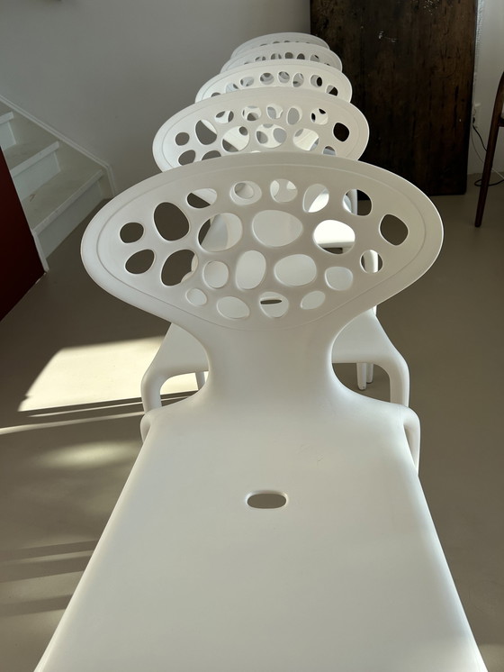 Image 1 of Supernatural Chair From Morosso 5x