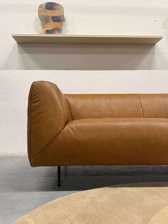 Image 1 of Label Vandenberg Moby Dick 2.5 Seater Sofa Bovino Natural