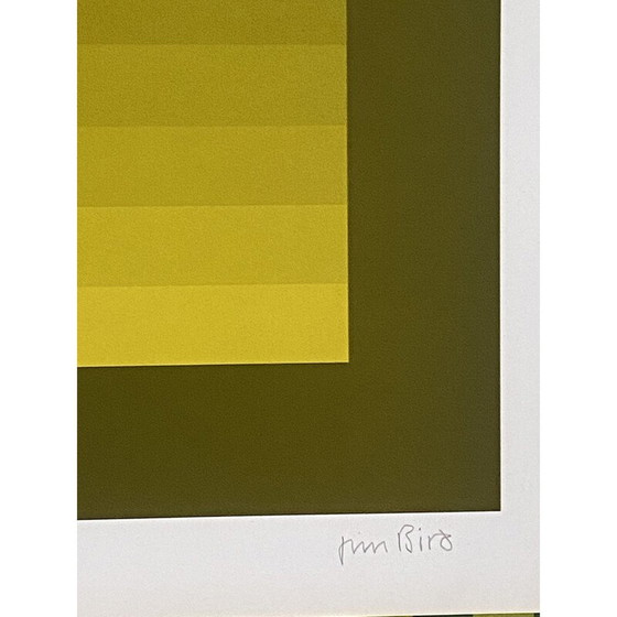 Image 1 of Vintage "tribute to Vasarely" lithograph by Jim Bird, 1970