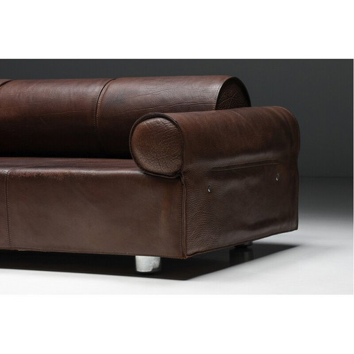 Vintage brown buffalo leather sofa by Marzio Cecchi, 1970s
