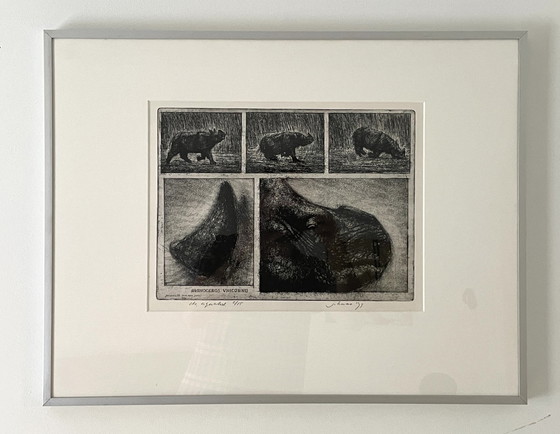 Image 1 of Etching Rhinoceros Unicornis - Jan Hurx