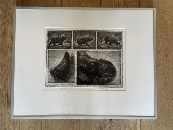 Image 1 of Etching Rhinoceros Unicornis - Jan Hurx