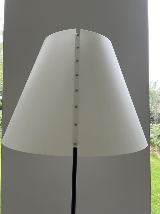 Image 1 of Luceplan Constanza Floor Lamp