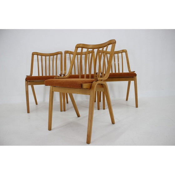 Image 1 of Set of 4 vintage chairs by Antonin Suman par Ton, Czechoslovakia 1970