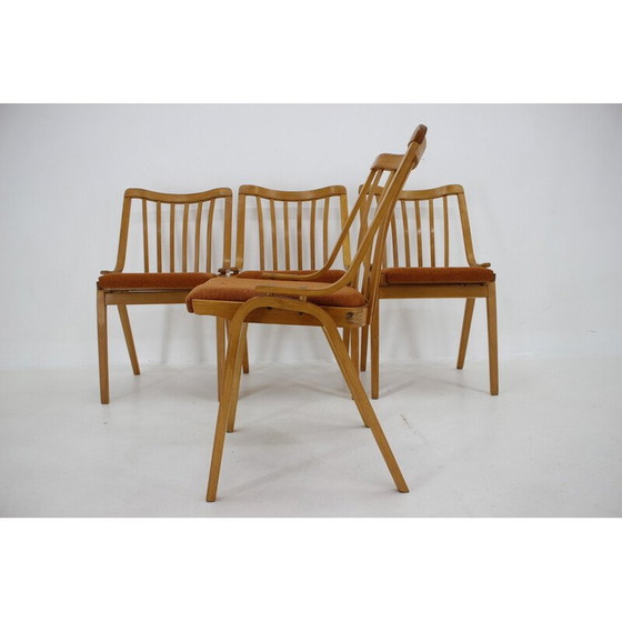 Image 1 of Set of 4 vintage chairs by Antonin Suman par Ton, Czechoslovakia 1970