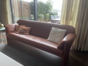 Jori Jr-4650 Sofa 226/3 Low Pinto Color Havanna