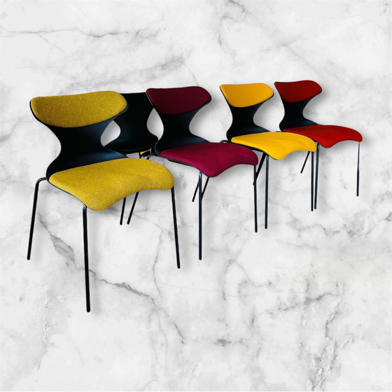 Image 1 of 8x Dynamobel chairs