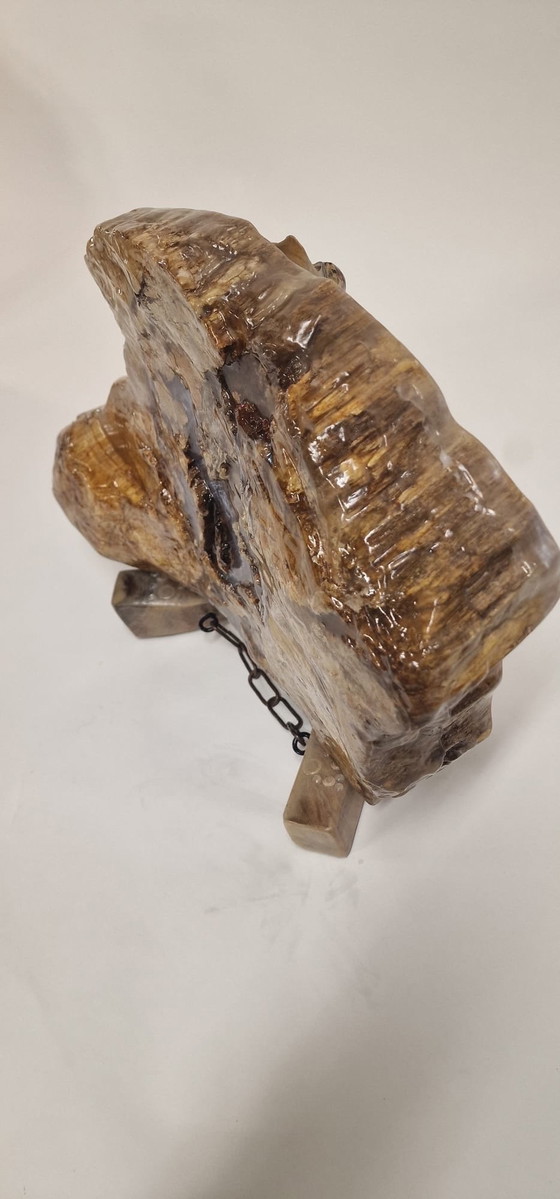 Image 1 of Million Years Old, Petrified Wood With Chestnut Stand