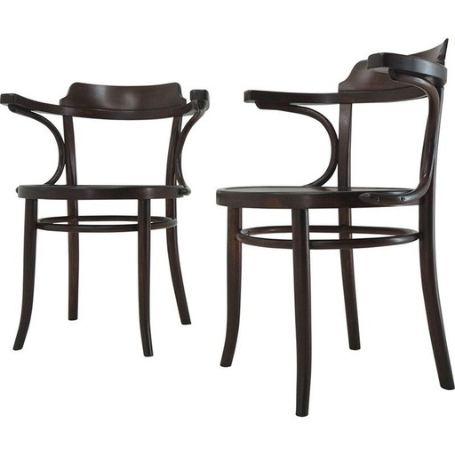 Pair of vintage dining chairs by Thonet, 1920s