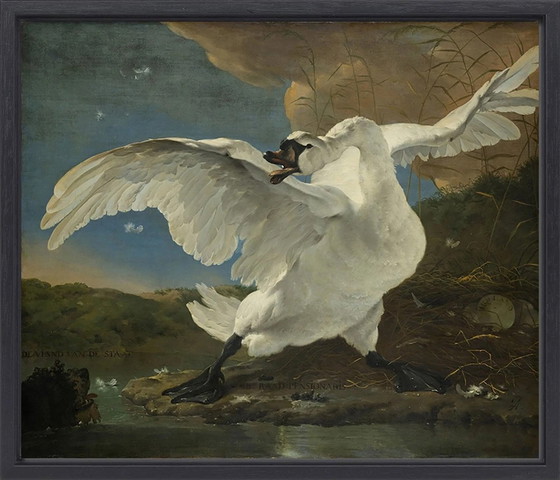 Image 1 of Jan Asselijn --- The Endangered Swan Xxl (Framed)