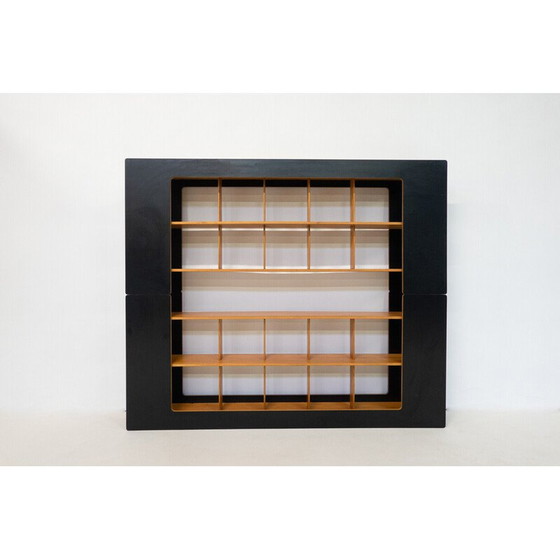 Image 1 of Mid-century bookcase by Robert Pam and Renato Toso, Italy 1972