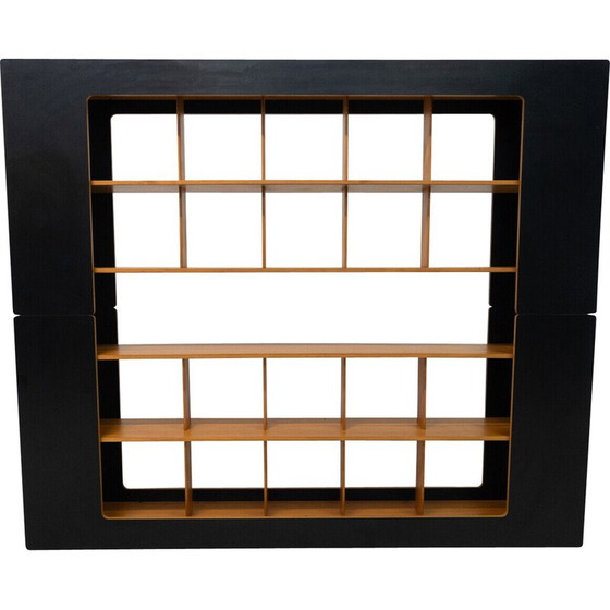 Image 1 of Mid-century bookcase by Robert Pam and Renato Toso, Italy 1972