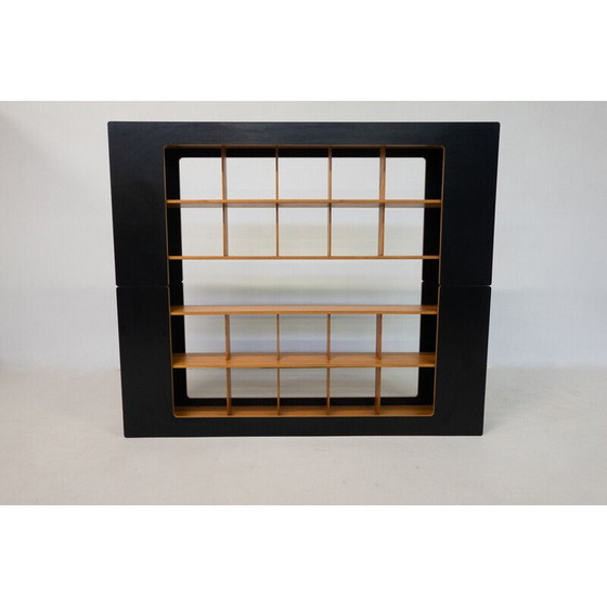 Image 1 of Mid-century bookcase by Robert Pam and Renato Toso, Italy 1972