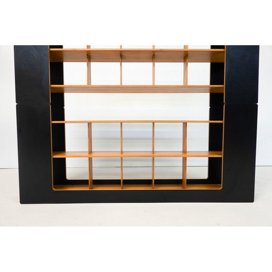 Image 1 of Mid-century bookcase by Robert Pam and Renato Toso, Italy 1972