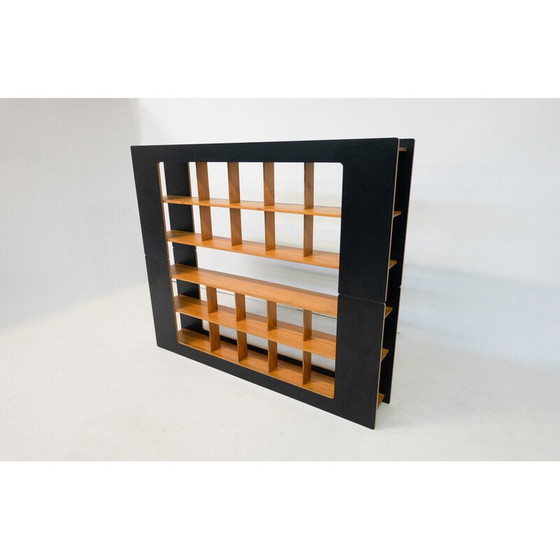 Image 1 of Mid-century bookcase by Robert Pam and Renato Toso, Italy 1972