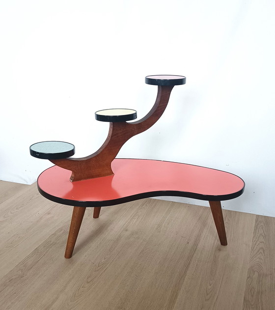 Image 1 of Mesa de plantas colorida de los años cincuenta