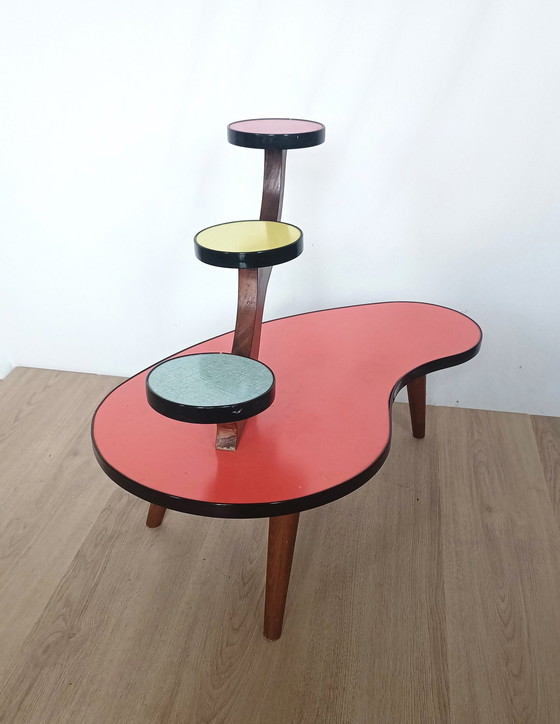 Image 1 of Mesa de plantas colorida de los años cincuenta