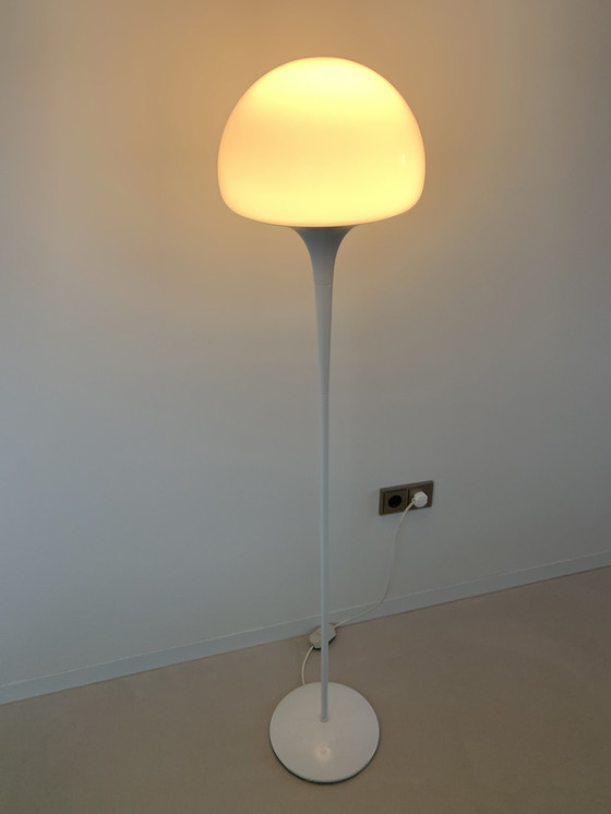 Image 1 of Design Floor Lamp
