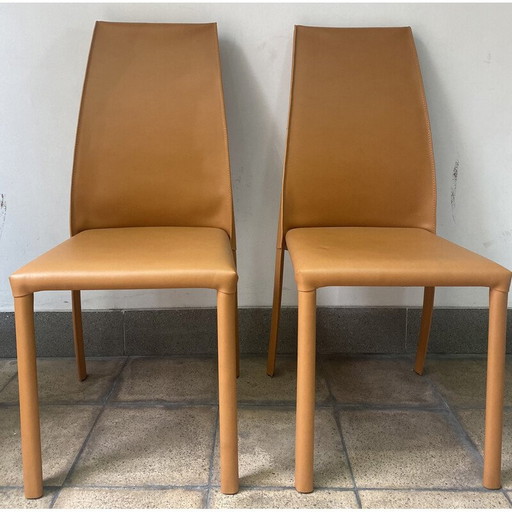 Pair of vintage Frag chairs by Poltona Frau