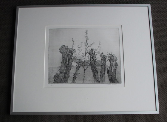 Image 1 of Charles Donker - Framed etching: Pollard willows (neat frame!)