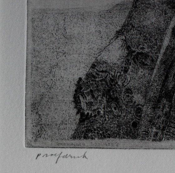 Image 1 of Charles Donker - Framed etching: Pollard willows (neat frame!)