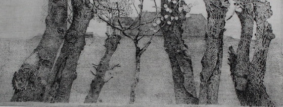 Image 1 of Charles Donker - Framed etching: Pollard willows (neat frame!)