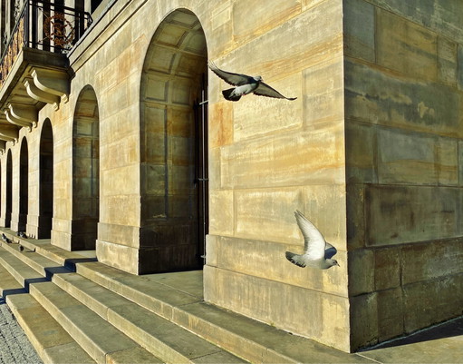 iAnnet - Les oiseaux de l’espoir – fotografie, Modern (photo 2 of 5)