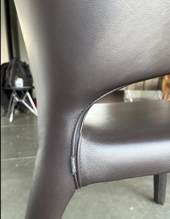 Image 1 of 10X Leather Cassina Hola 367 Chairs