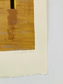 Helmuth van Galen - serigrafia - Interno I