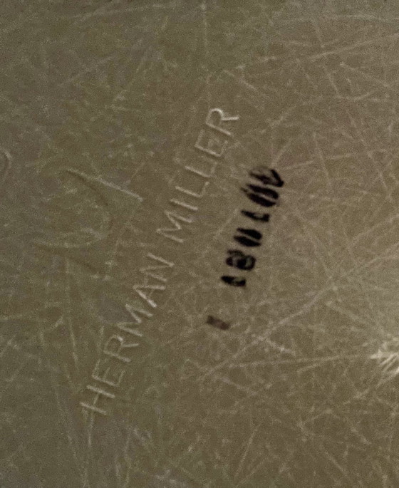 Image 1 of Sedia vintage in fibra di vetro Herman Miller