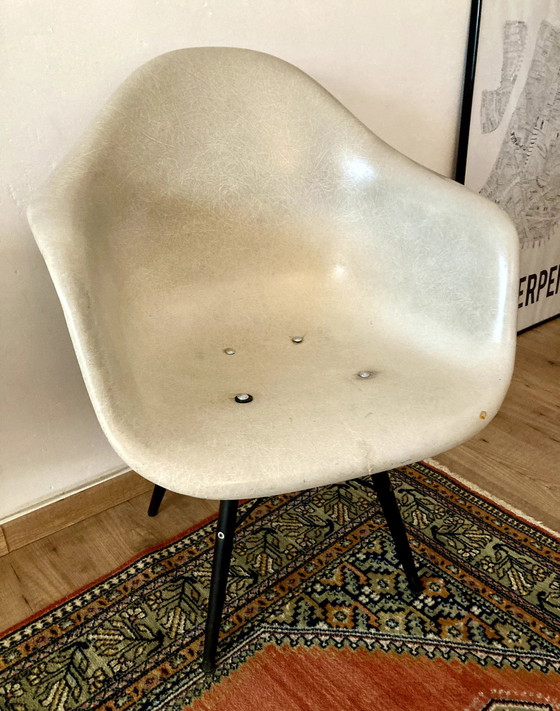 Image 1 of Sedia vintage in fibra di vetro Herman Miller