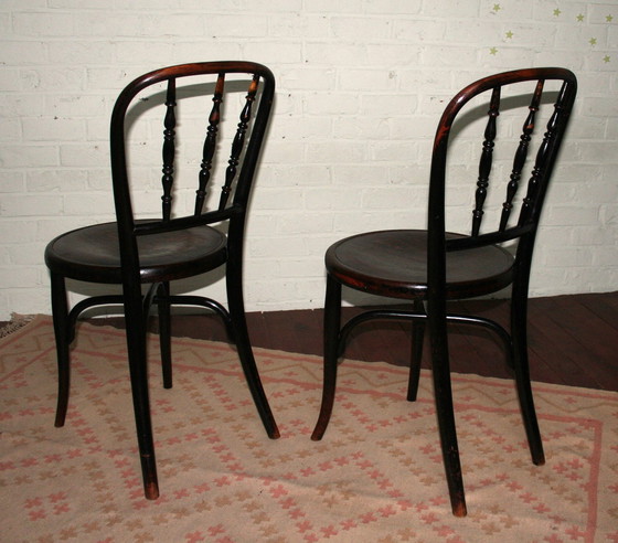 Image 1 of 2 sedie Thonet n. 85 restaurate
