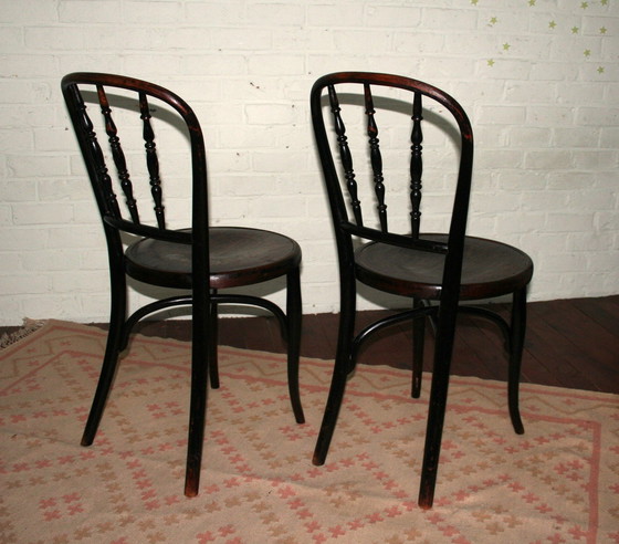 Image 1 of 2 sedie Thonet n. 85 restaurate