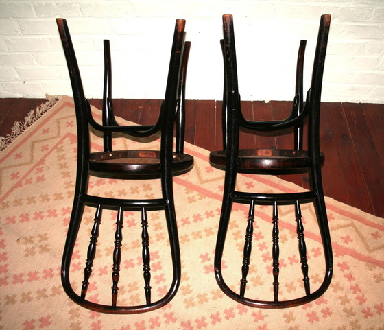 Image 1 of 2 sedie Thonet n. 85 restaurate