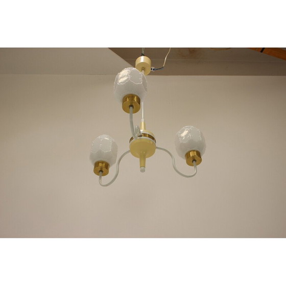 Image 1 of Mid-century chandelier by Instala Jilove U Decina, Czechoslovakia 1970s