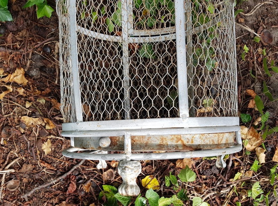 Image 1 of Grande gabbia per uccelli in ferro d'epoca italiana