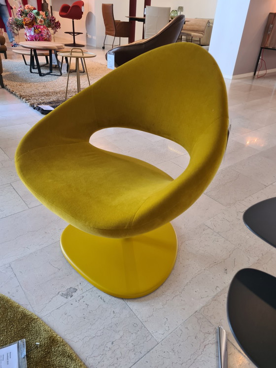 Image 1 of Artifort Shark Lounge Armchair