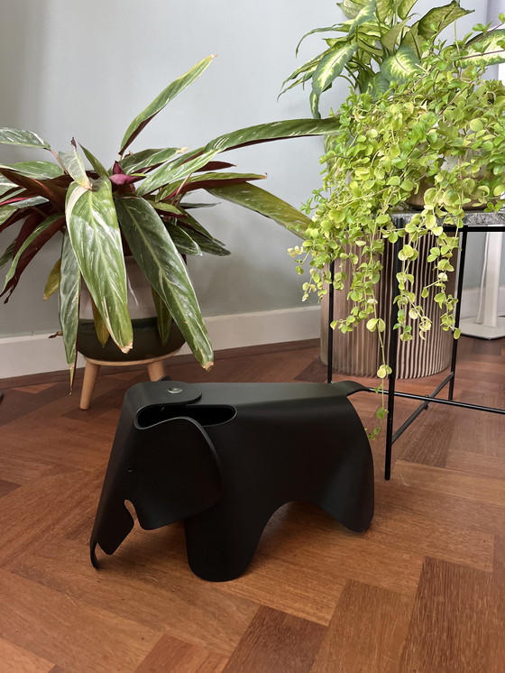 Image 1 of Modèle d'exposition Eames Elephant small black