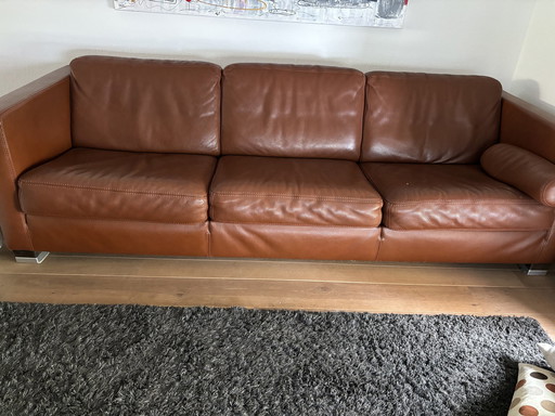 Durlet Leather Design Sofa