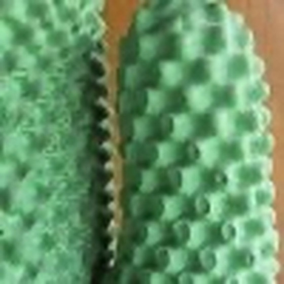 Image 1 of Gufram Cactus - édition limitée